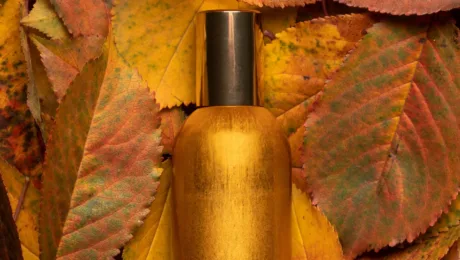 Hurmanski aromaty voseny vid tsukerni do molochnoho baru Gold perfume bottle with a black cap nestled among orange and yellow autumn leaves.